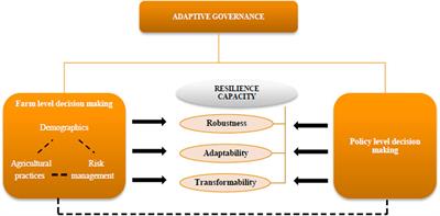 Adaptive Governance and Resilience Capacity of Farms: The Fit Between Farmers’ Decisions and Agricultural Policies